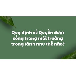 Quy định về Quyền được sống trong môi trường trong lành như thế nào?
