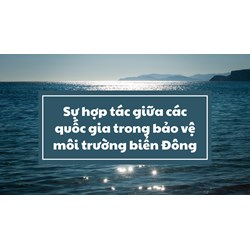 Sự hợp tác giữa các quốc gia trong bảo vệ môi trường biển Đông