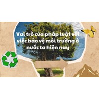 Vai trò của pháp luật với việc bảo vệ môi trường ở nước ta hiện nay