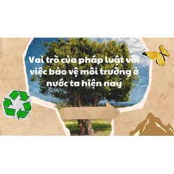 Vai trò của pháp luật với việc bảo vệ môi trường ở nước ta hiện nay