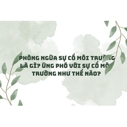 Phòng ngừa sự cố môi trường là gì? Ứng phó với sự cố môi trường như thế nào?