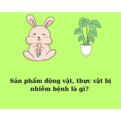 Sản phẩm động vật, thực vật bị nhiễm bệnh là gì?