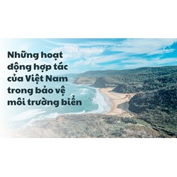 Những hoạt động hợp tác của Việt Nam trong bảo vệ môi trường biển