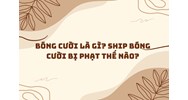 Bóng cười là gì? Ship bóng cười bị phạt thế nào?