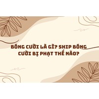 Bóng cười là gì? Ship bóng cười bị phạt thế nào?