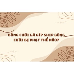 Bóng cười là gì? Ship bóng cười bị phạt thế nào?