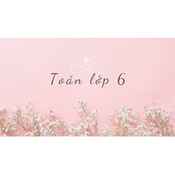 Tổng hợp bài tập ôn hè môn Toán lớp 6 cập nhật mới nhất