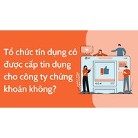 Tổ chức tín dụng có được cấp tín dụng cho công ty chứng khoán không?