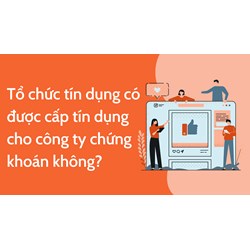 Tổ chức tín dụng có được cấp tín dụng cho công ty chứng khoán không?