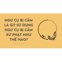 Ngư cụ bị cấm là gì? Sử dụng ngư cụ bị cấm xử phạt như thế nào?