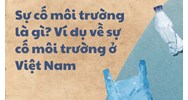 Sự cố môi trường là gì? Ví dụ về sự cố môi trường ở Việt Nam