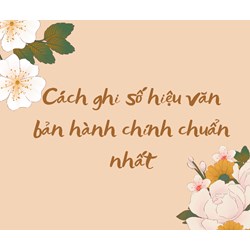 Cách ghi số hiệu văn bản hành chính chuẩn nhất