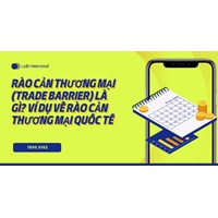 Rào cản thương mại (Trade Barrier) là gì? Ví dụ về rào cản thương mại quốc tế