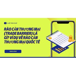 Rào cản thương mại (Trade Barrier) là gì? Ví dụ về rào cản thương mại quốc tế