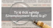 Tỷ lệ thất nghiệp (Unemployment Rate) là gì?