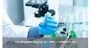Cân bằng phản ứng sau: Fe + HNO3 → Fe(NO3)3 + NO2 + H2O