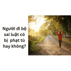 Người đi bộ sai luật có bị  phạt tù hay không?