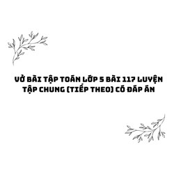 Vở bài tập Toán lớp 5 bài 117 Luyện tập chung (tiếp theo) có đáp án