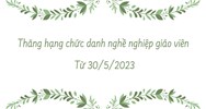 Điều kiện thăng hạng chức danh nghề nghiệp giáo viên các cấp