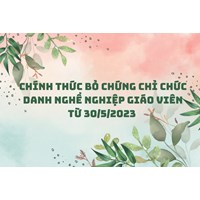 Chính thức bỏ chứng chỉ chức danh nghề nghiệp giáo viên