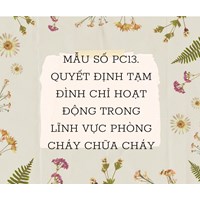 Mẫu số PC13. Quyết định tạm đình chỉ hoạt động trong lĩnh vực phòng cháy chữa cháy