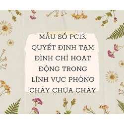 Mẫu số PC13. Quyết định tạm đình chỉ hoạt động trong lĩnh vực phòng cháy chữa cháy