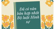 Đã có văn bản hợp nhất Bộ luật Hình sự