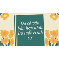 Đã có văn bản hợp nhất Bộ luật Hình sự