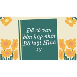 Đã có văn bản hợp nhất Bộ luật Hình sự