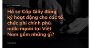 Hồ sơ Cấp Giấy đăng ký hoạt động cho các tổ chức phi chính phủ nước ngoài tại Việt Nam gồm những gì?