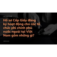 Hồ sơ Cấp Giấy đăng ký hoạt động cho các tổ chức phi chính phủ nước ngoài tại Việt Nam gồm những gì?