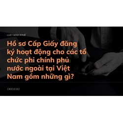 Hồ sơ Cấp Giấy đăng ký hoạt động cho các tổ chức phi chính phủ nước ngoài tại Việt Nam gồm những gì?