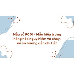 Mẫu số PC01 Mẫu biểu trưng hàng hóa nguy hiểm về cháy, nổ có hướng dẫn chi tiết