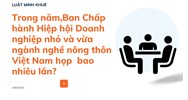 Trong năm,Ban Chấp hành Hiệp hội Doanh nghiệp nhỏ và vừa ngành nghề nông thôn Việt Nam họp  bao nhiêu lần?