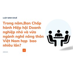 Trong năm,Ban Chấp hành Hiệp hội Doanh nghiệp nhỏ và vừa ngành nghề nông thôn Việt Nam họp  bao nhiêu lần?