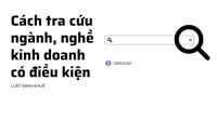 Cách tra cứu ngành, nghề kinh doanh có điều kiện