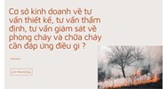 Cơ sở kinh doanh về tư vấn thiết kế, tư vấn thẩm định, tư vấn giám sát về phòng cháy và chữa cháy cần đáp ứng điều gì ?