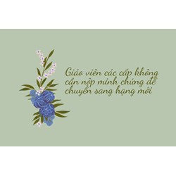 Giáo viên các cấp không cần nộp minh chứng để chuyển sang hạng mới