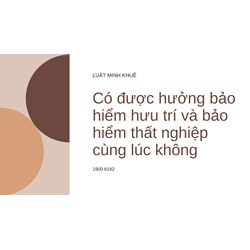 Có được hưởng bảo hiểm hưu trí và bảo hiểm thất nghiệp cùng lúc không