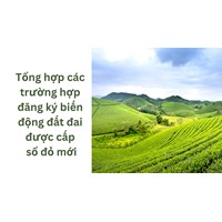 Tổng hợp các trường hợp đăng ký biến động đất đai được cấp sổ đỏ mới