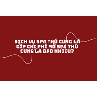 Dịch vụ spa thú cưng là gì? Chi phí mở spa thú cưng là bao nhiêu?