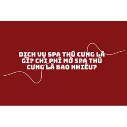 Dịch vụ spa thú cưng là gì? Chi phí mở spa thú cưng là bao nhiêu?