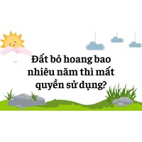 Đất bỏ hoang bao nhiều năm thì mất quyền sử dụng