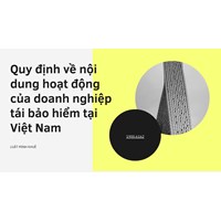 Quy định về nội dung hoạt động của doanh nghiệp tái bảo hiểm tại Việt Nam