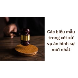 Các biểu mẫu trong xét xử vụ án hình sự mới nhất