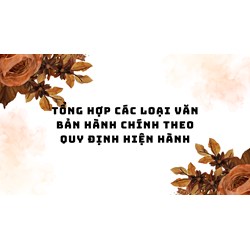 Tổng hợp các loại văn bản hành chính theo quy định hiện hành