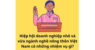 Hiệp hội doanh nghiệp nhỏ và vừa ngành nghề nông thôn Việt Nam có những nhiệm vụ gì?