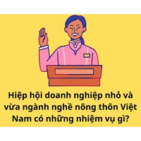 Hiệp hội doanh nghiệp nhỏ và vừa ngành nghề nông thôn Việt Nam có những nhiệm vụ gì?