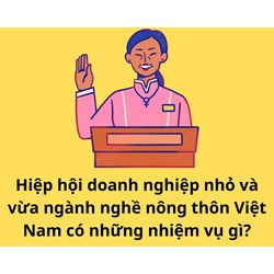 Hiệp hội doanh nghiệp nhỏ và vừa ngành nghề nông thôn Việt Nam có những nhiệm vụ gì?