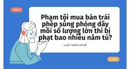 Phạm tội mua bán trái phép súng phóng dây mồi số lượng lớn thì bị phạt bao nhiêu năm tù?